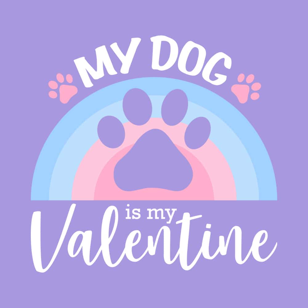 Secondary Product Image