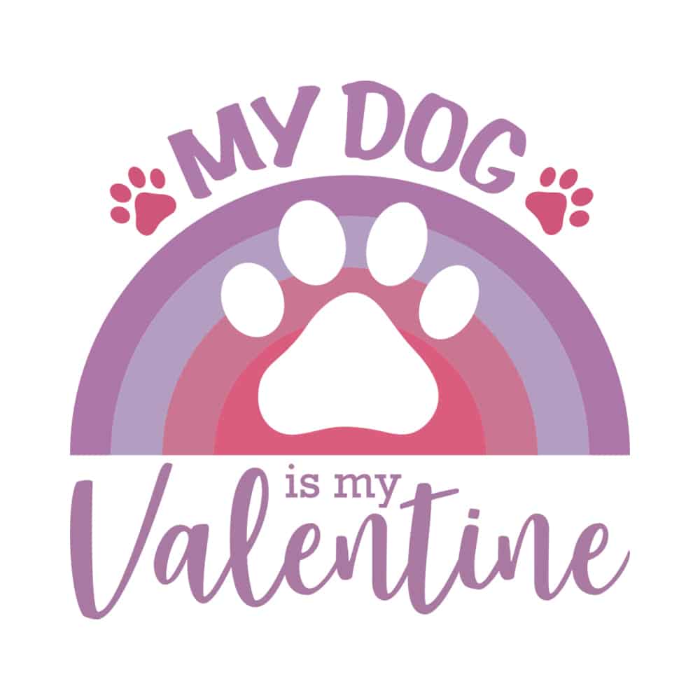 Comfort Colors My Dog Is My Valentine Rainbow Premium Sweatshirt - White - Image 2