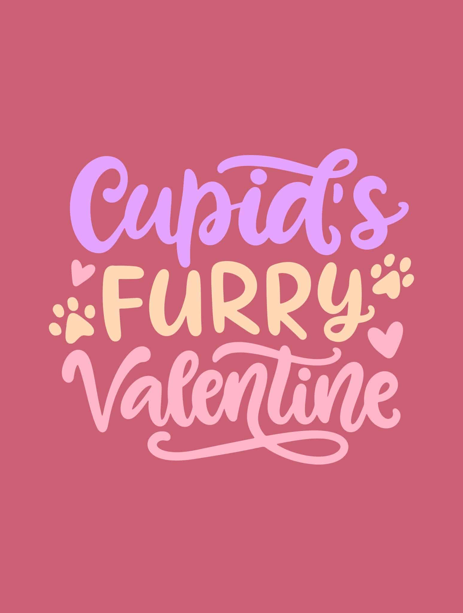 Secondary Product Image