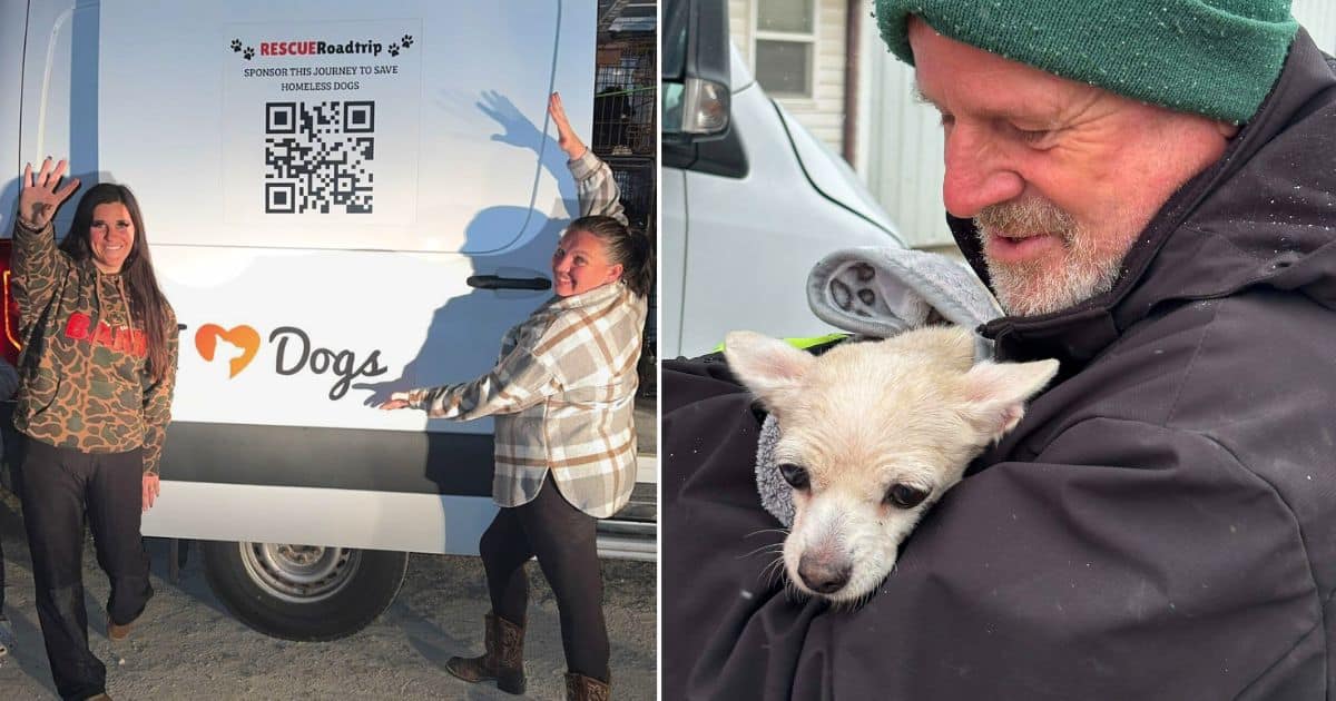 Driven by Compassion: Hero VIP Club Members Power IHD’s Largest Rescue Road Trip To Date