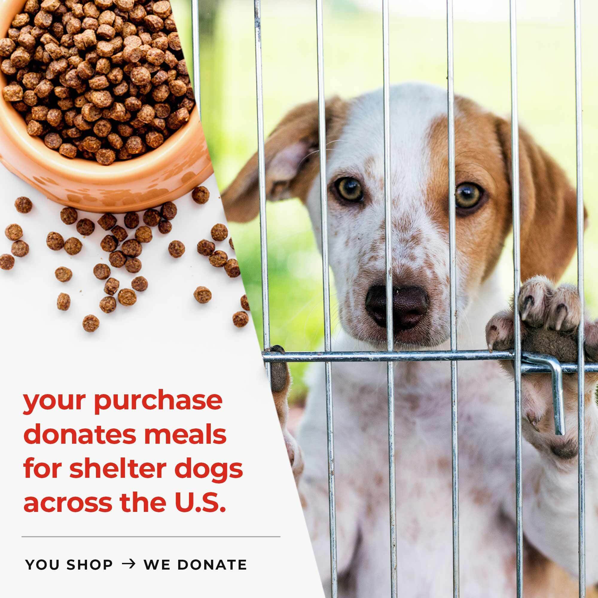 Fund 20 Meals for $15.00 and Get A Free - My Dog is My Valentine Love Letters Standard Tee Pink - Image 4