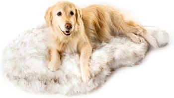 PawBrands PupRug Faux Fur Curve Orthopedic Pillow Dog Bed 