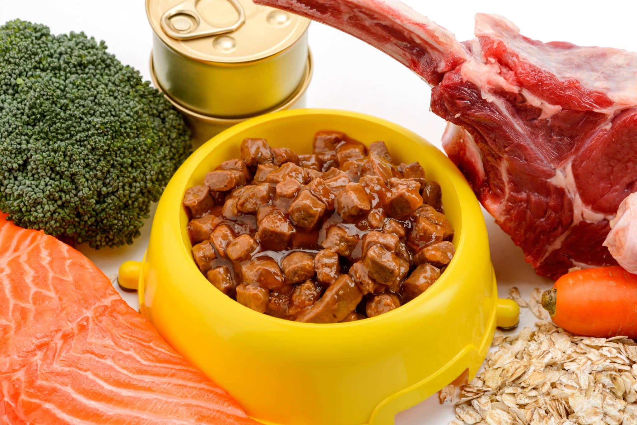 bowl of wet dog food surrounded by fresh meat, fish, and vegetables