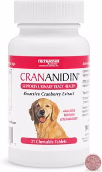 Nutramax Crananidin Cranberry Extract Chewable Tablets Urinary Supplement