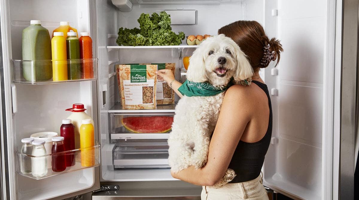 Understanding Picky Eating: How Freshpet Helps Bring Joy Back to Mealtime