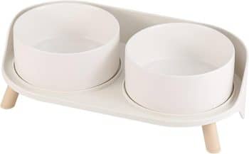 Elevated Ceramic Dog Bowl Set