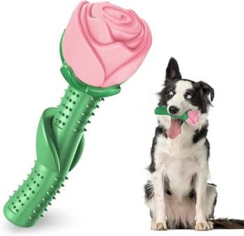 ucho Dog Toys for Aggressive Chewers