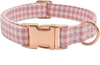 Metal Buckle Dog Collar