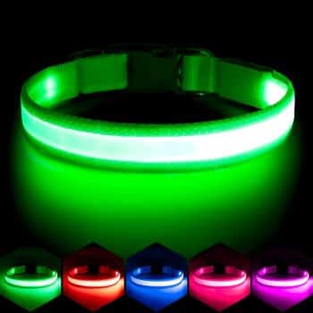 Vizpet LED Dog Collar