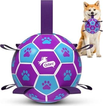 QDAN Dog Ropes Toys Soccer Ball