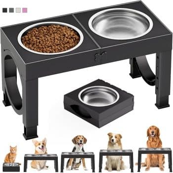 XIAZ Elevated Dog Bowls Large
