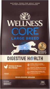 Wellness CORE Digestive Health Dry Dog Food