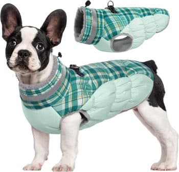 FUAMEY Dog Jacket for Medium Dogs