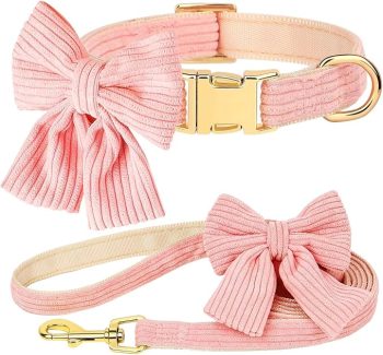 Didog Cute Dog Collar and Leash Set