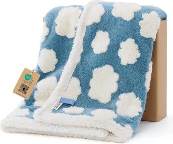 LE SURE Waterproof Puppy Blanket