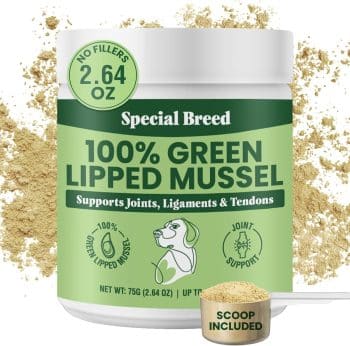 Green Lipped Mussel Powder