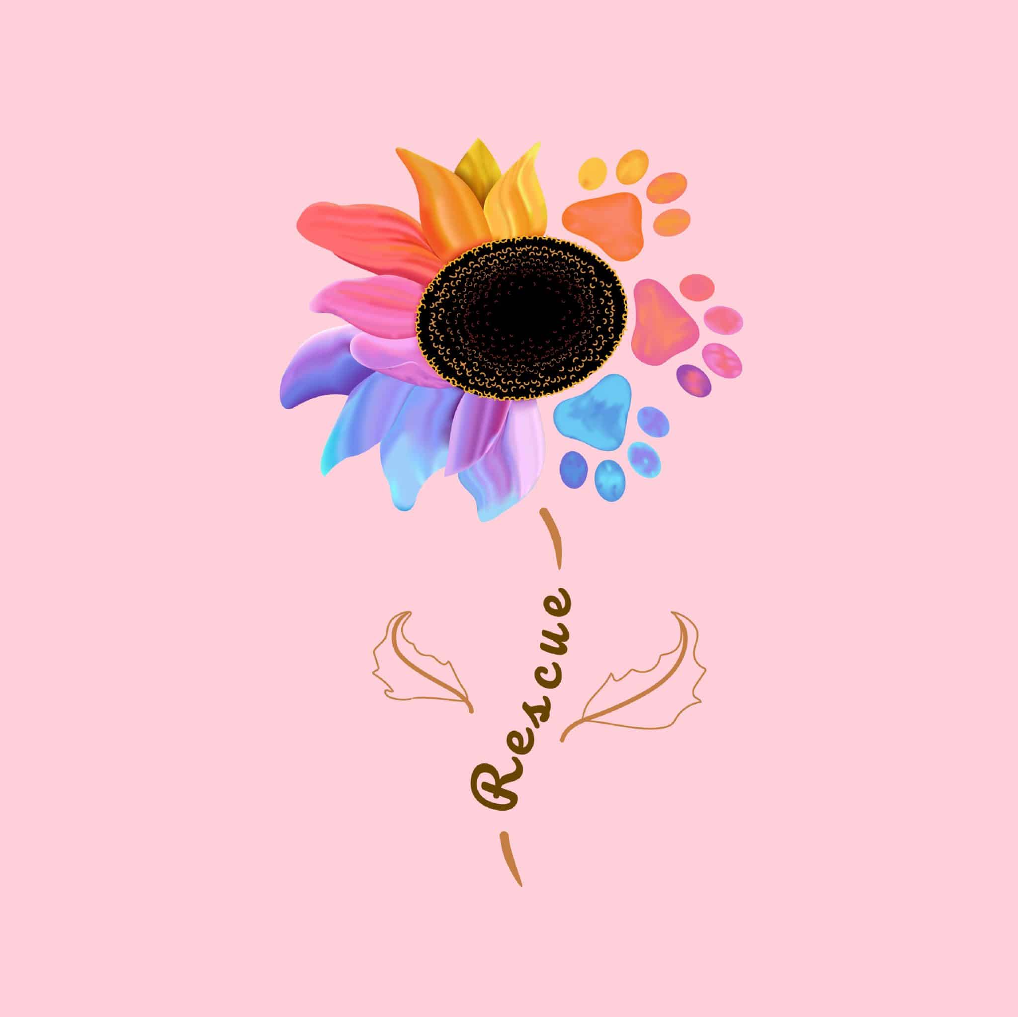 Secondary Product Image