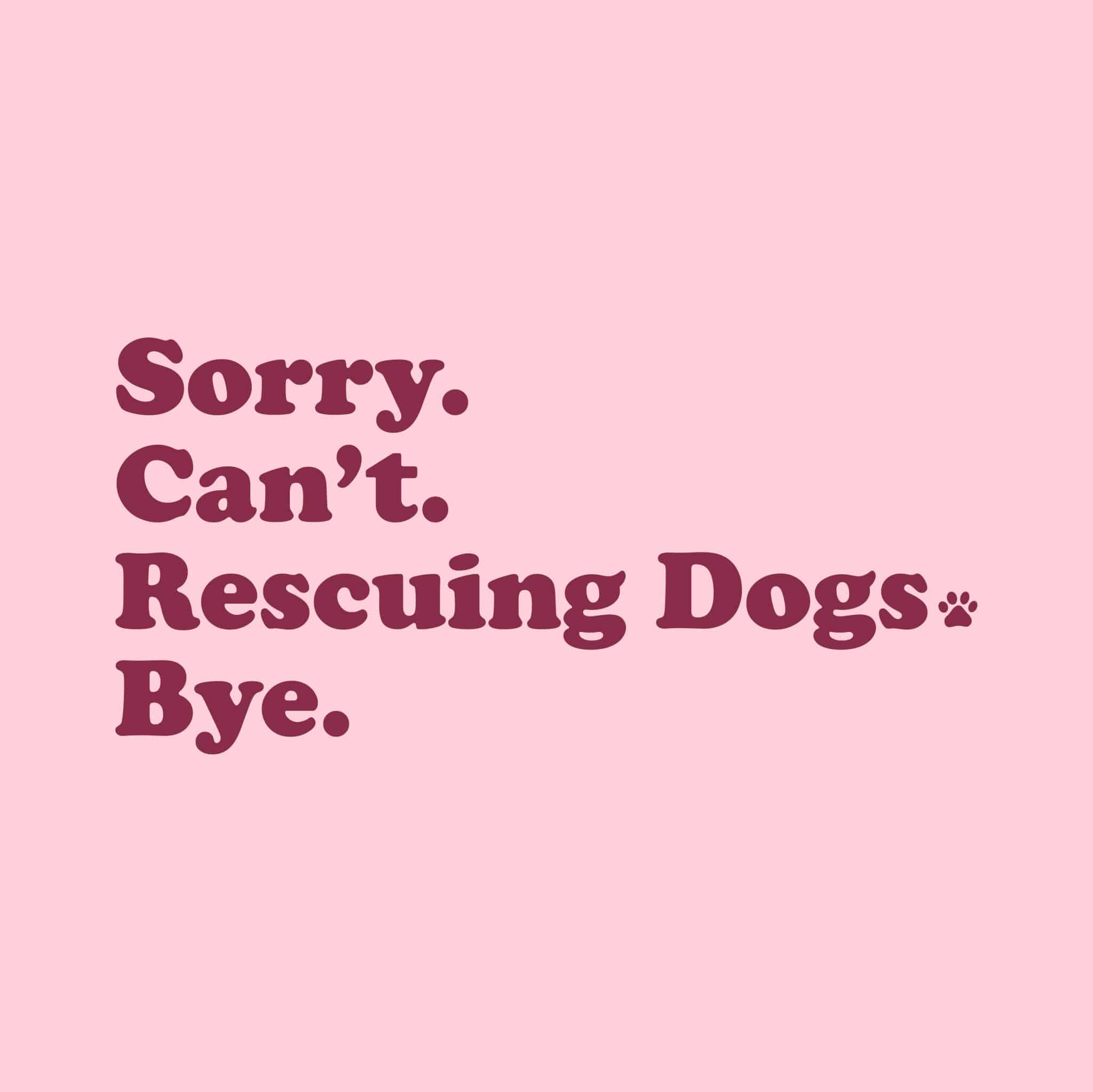 Secondary Product Image