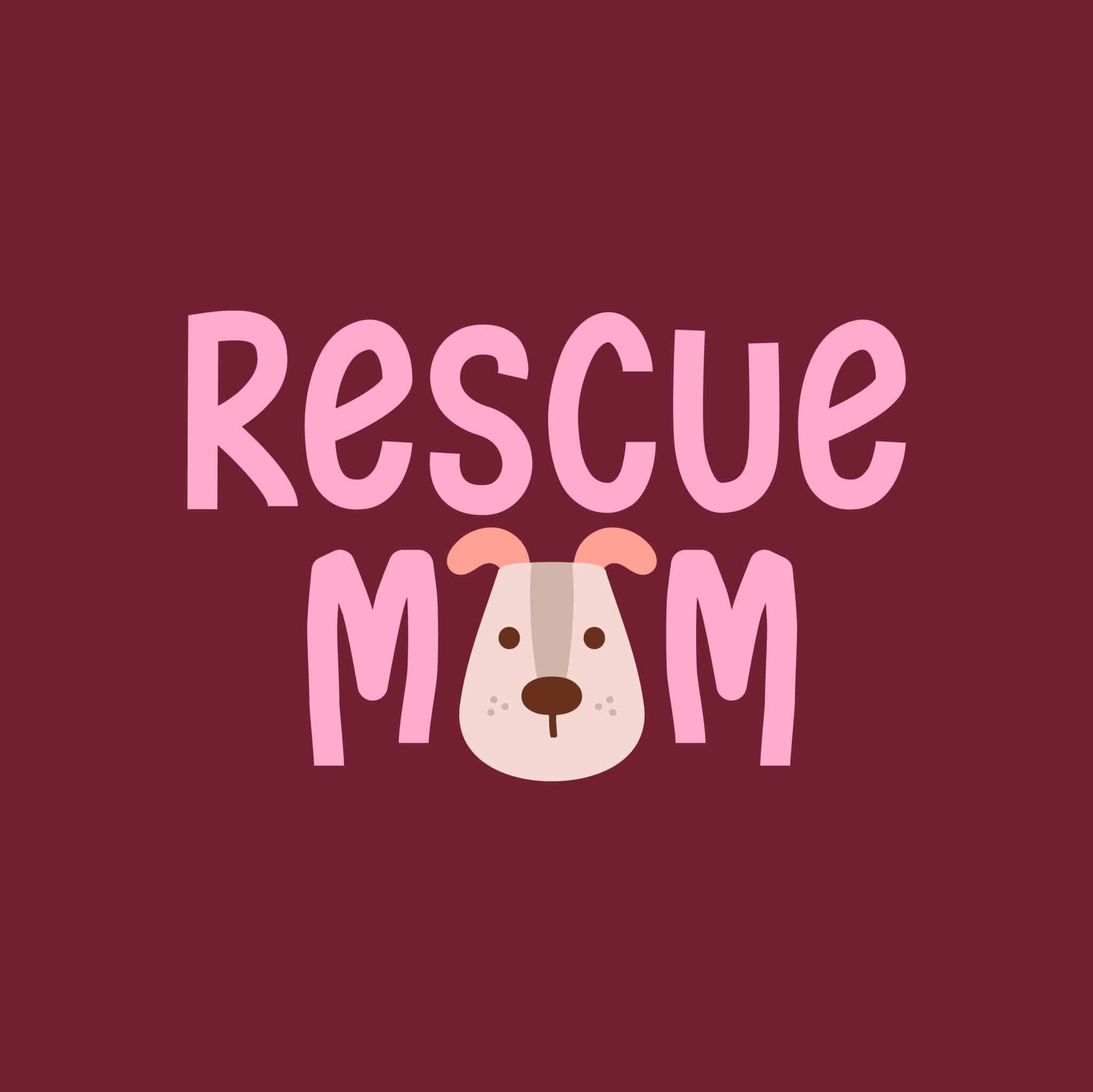 Secondary Product Image