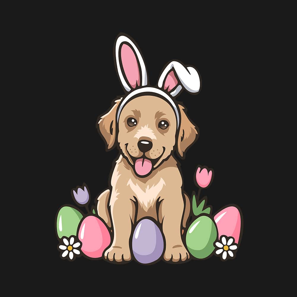 Secondary Product Image