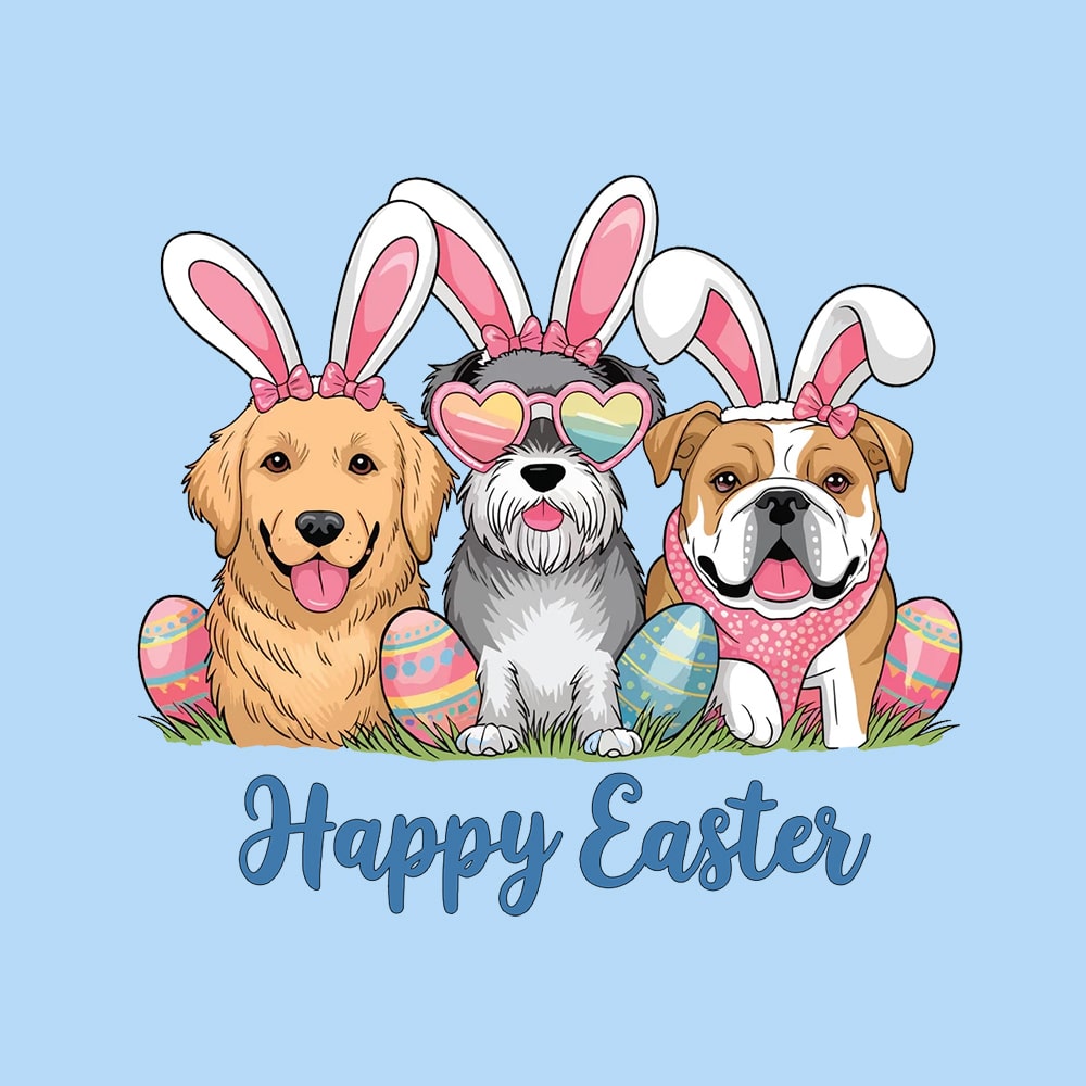 Secondary Product Image