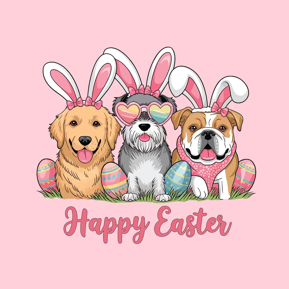 Secondary Product Image