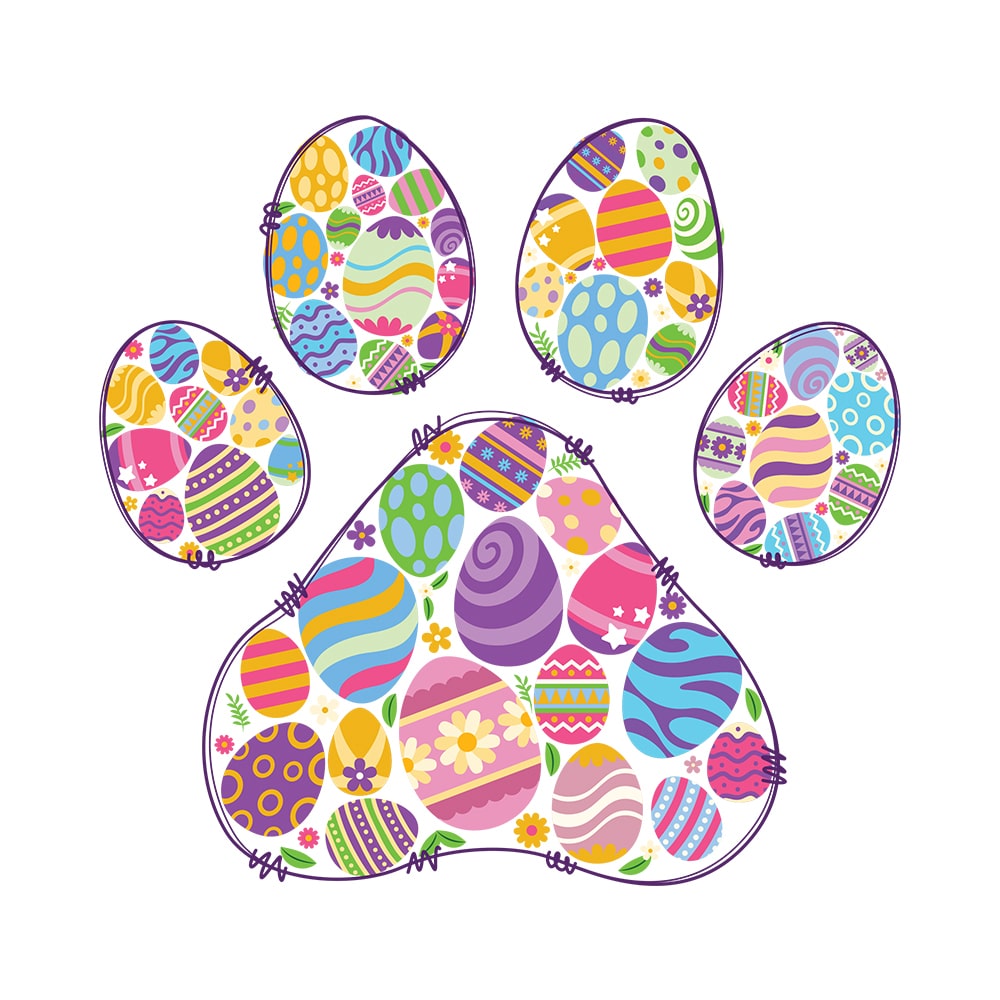 Secondary Product Image