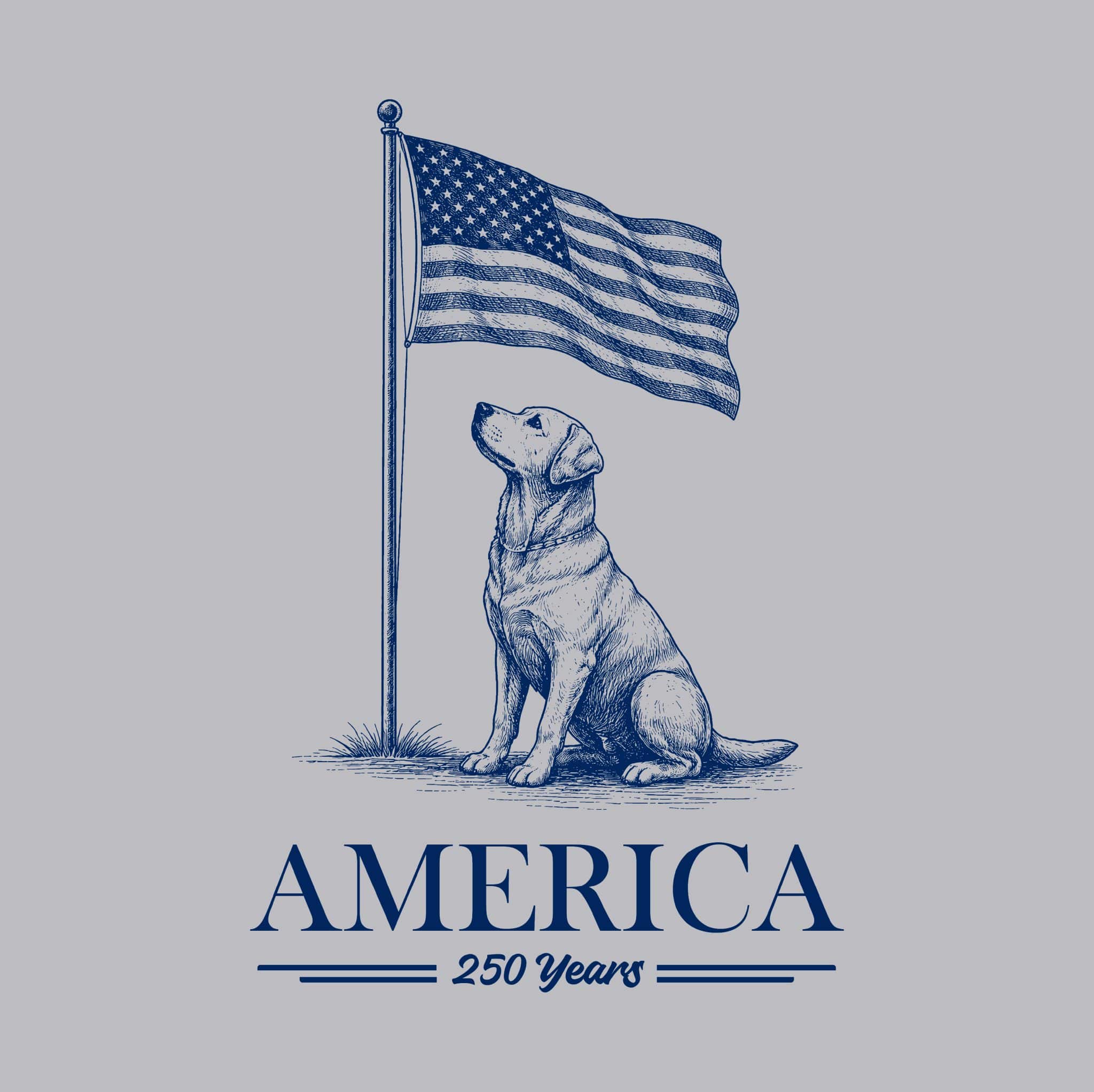 Secondary Product Image