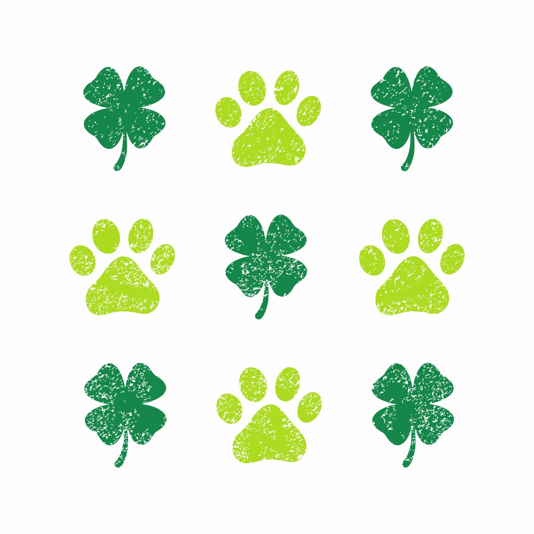 Secondary Product Image