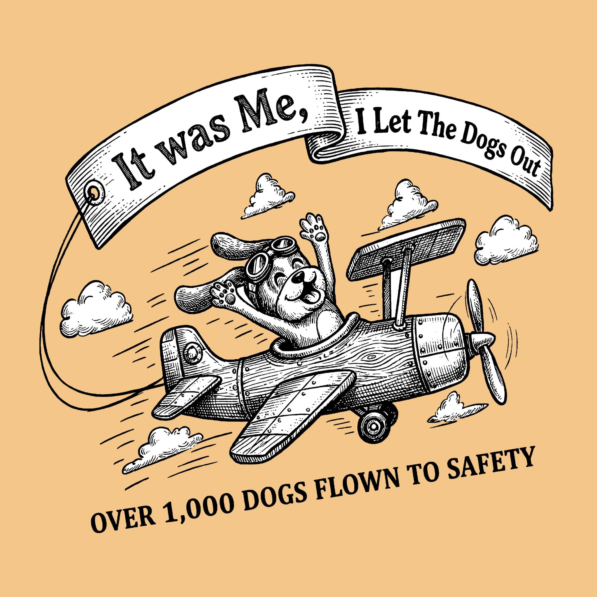 Secondary Product Image