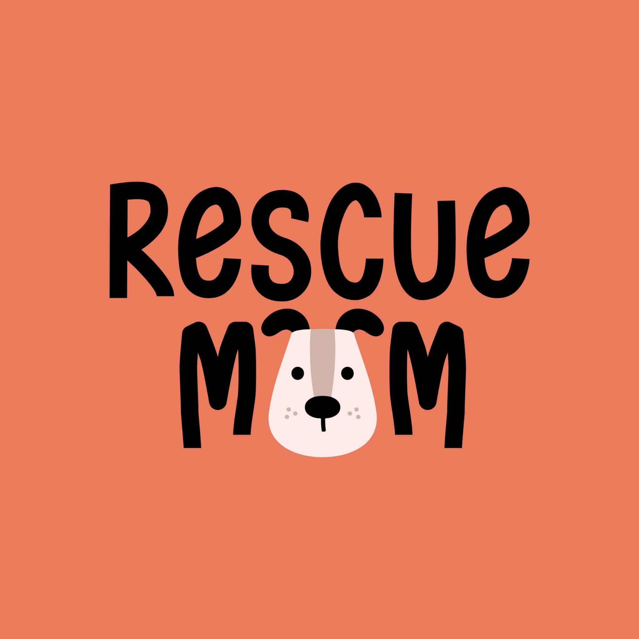 Secondary Product Image