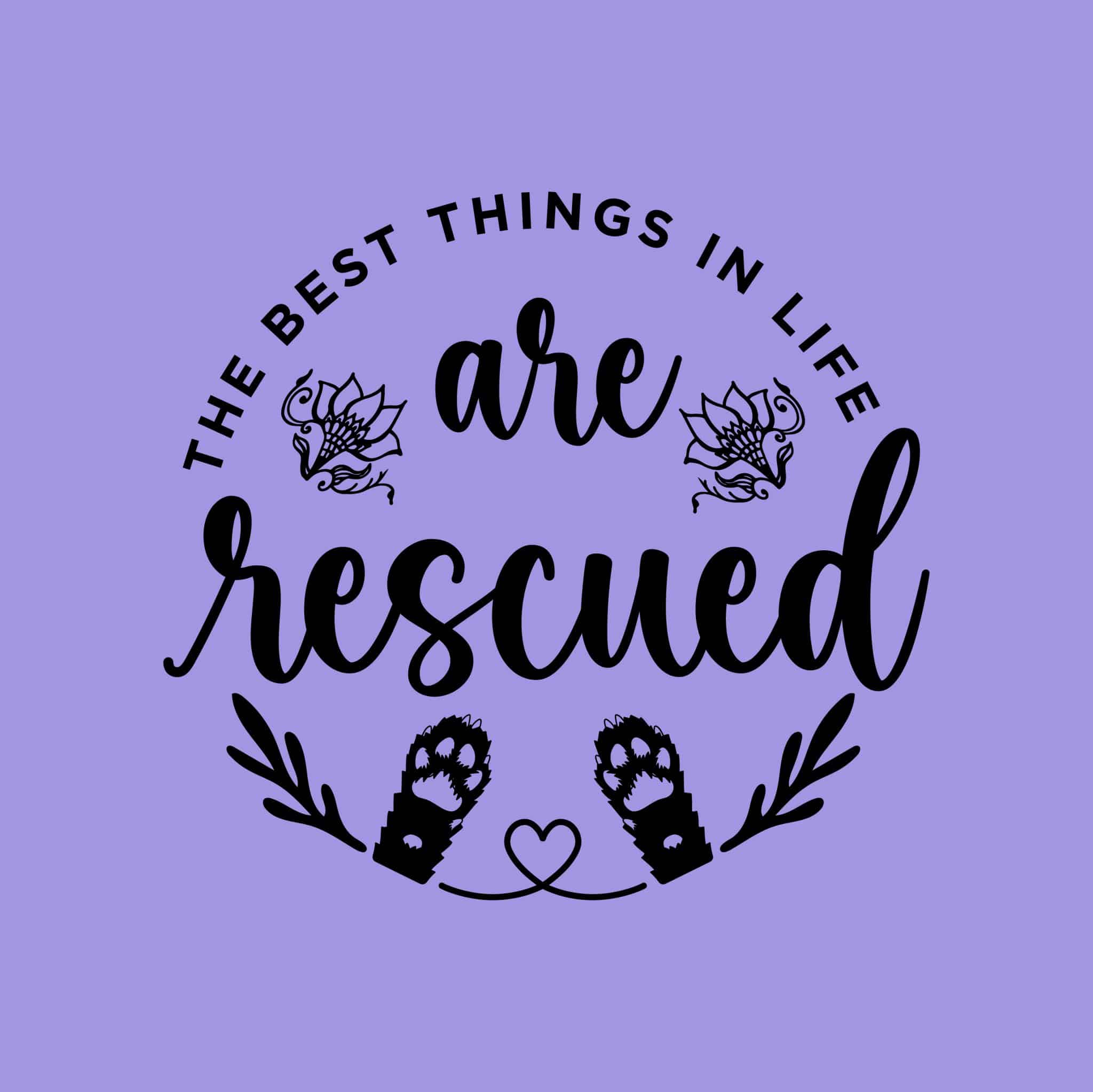 Secondary Product Image