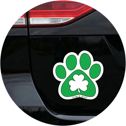 Car Magnets & Accessories Products