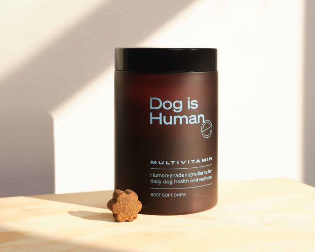 A jar of Dog Is Human multivitamin on a light wood surface with a single soft chew