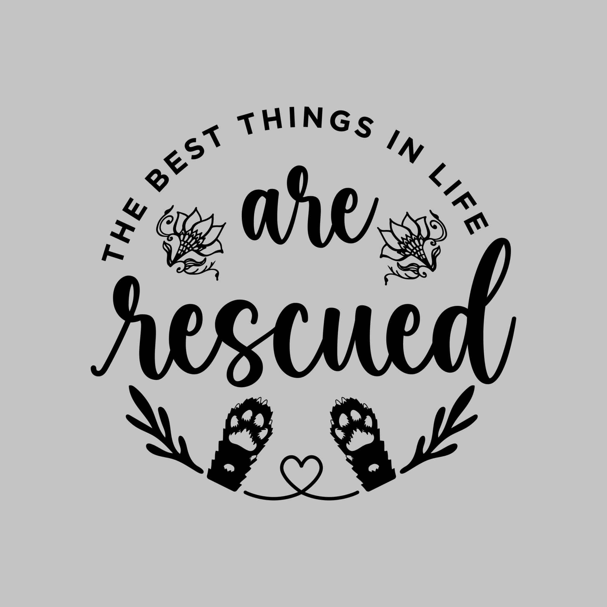 Secondary Product Image