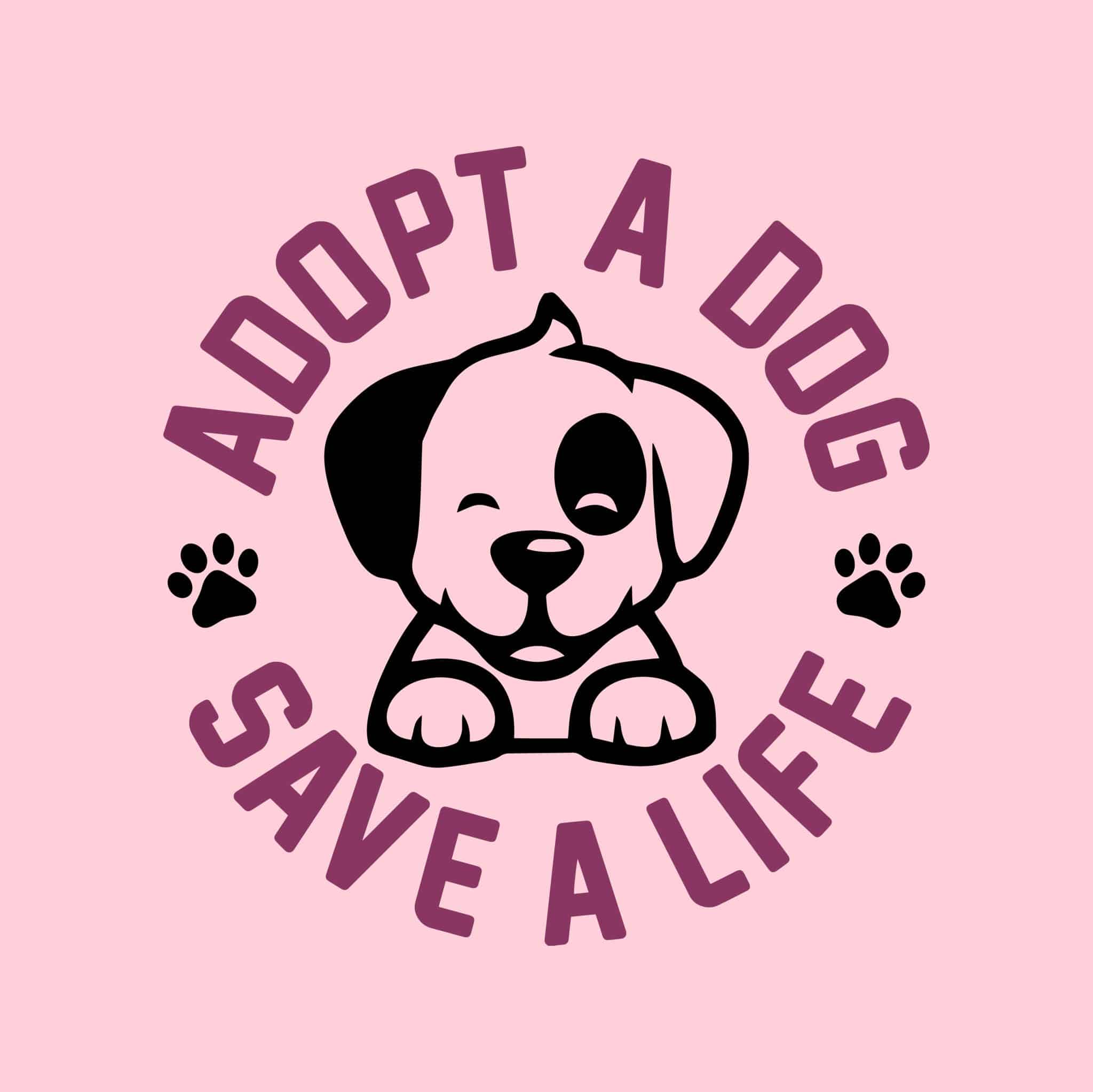 Secondary Product Image