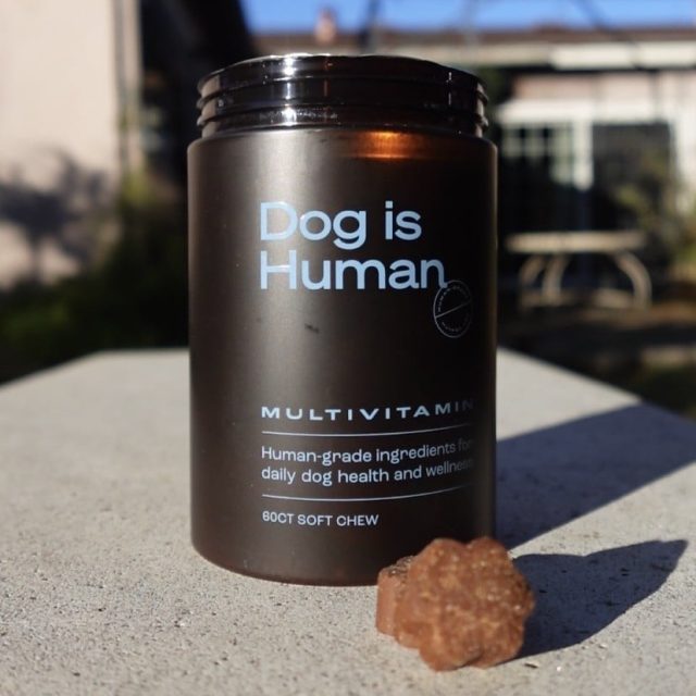 A closeup of a jar of Dog Is Human multivitamins sitting on an outdoor concrete surface with a single soft chew in the foreground