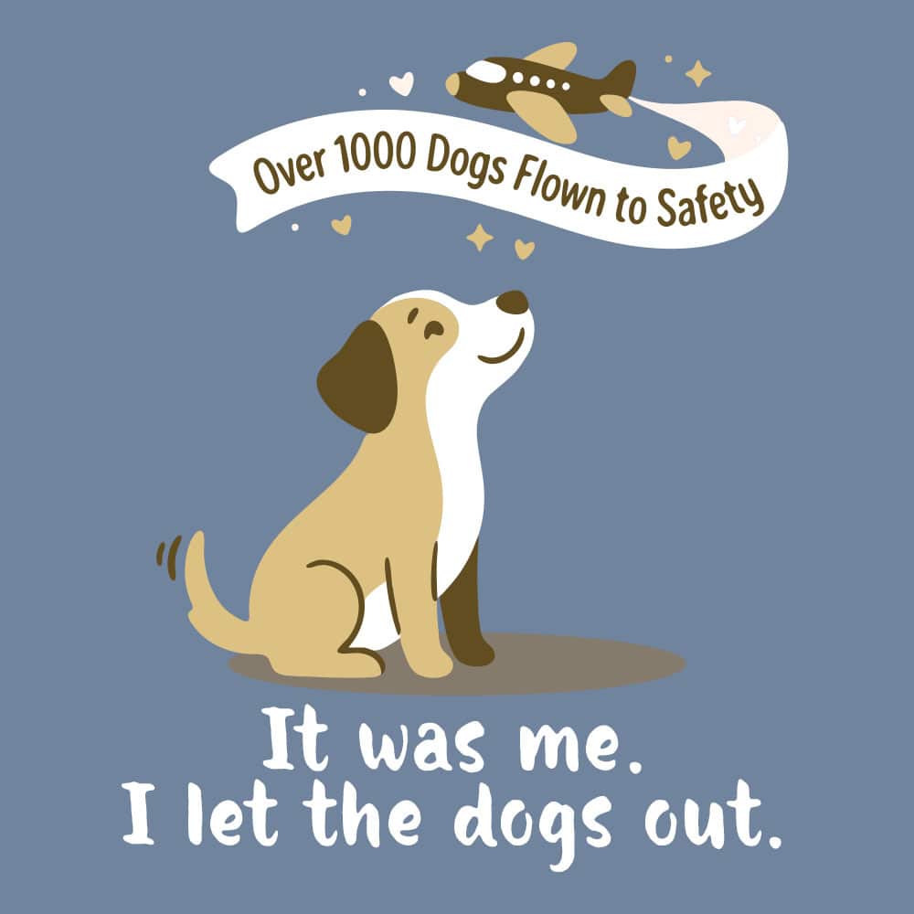 Secondary Product Image