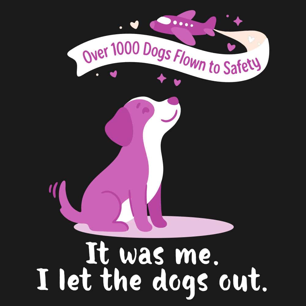 Secondary Product Image