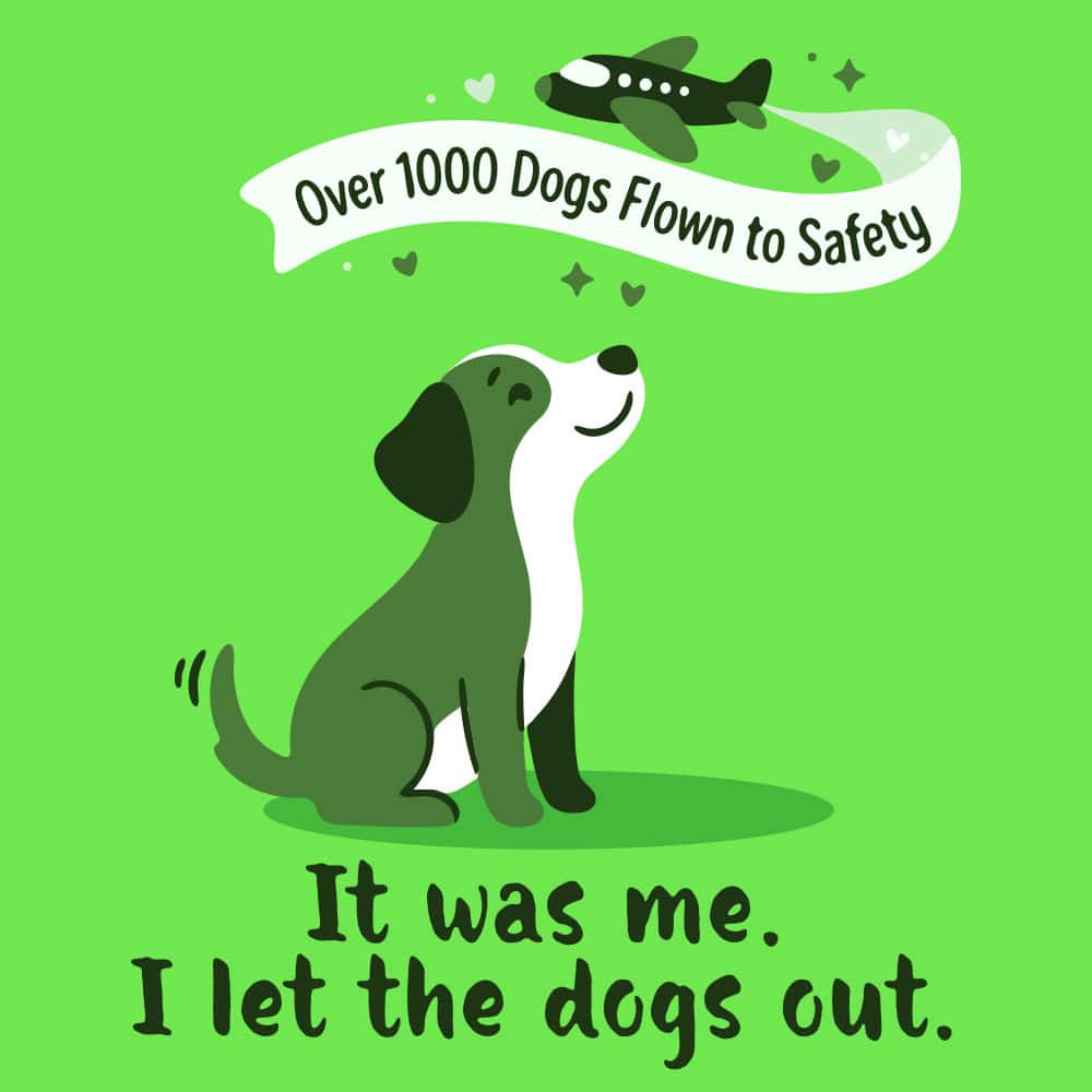 Secondary Product Image