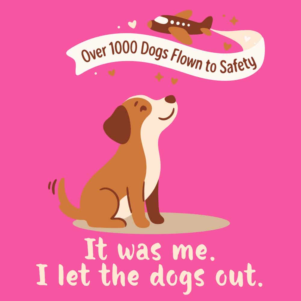 Secondary Product Image