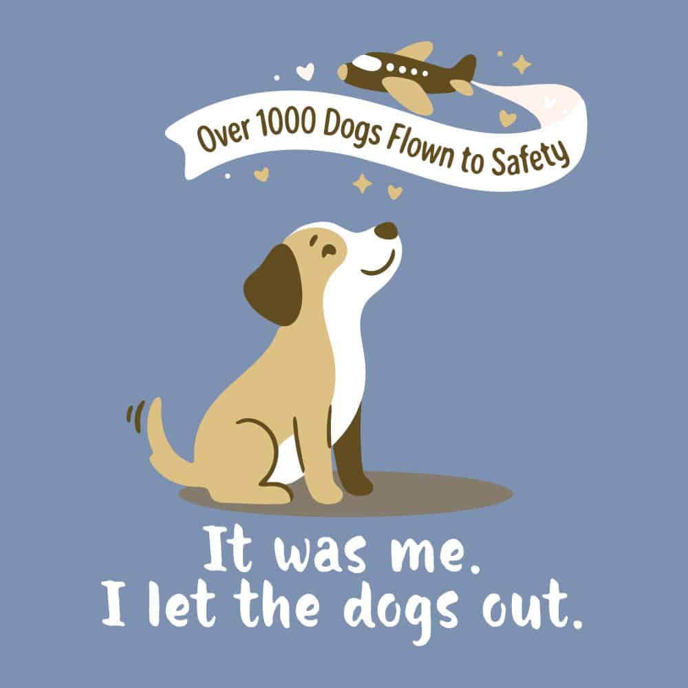 Secondary Product Image