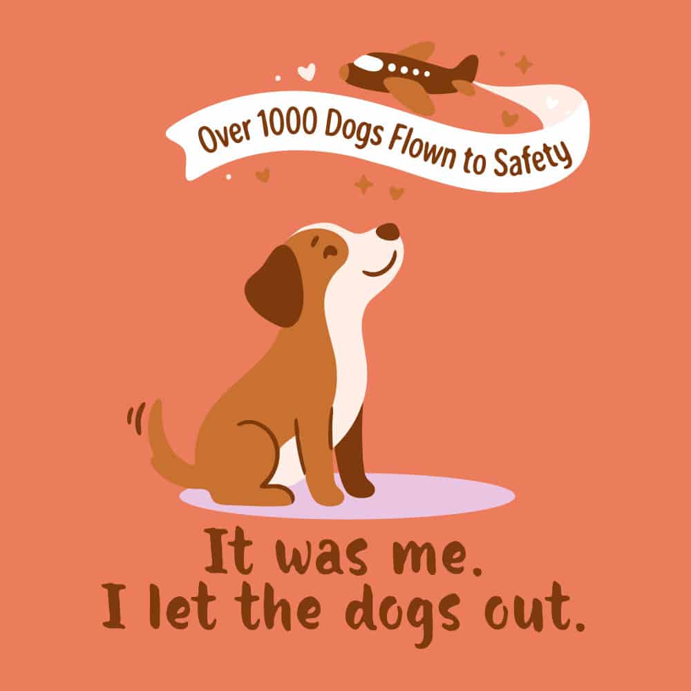 Secondary Product Image