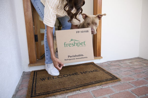 A gray Pitbull dog looks on as a woman picks up a box of Freshpet Custom Meals delivered to her front door