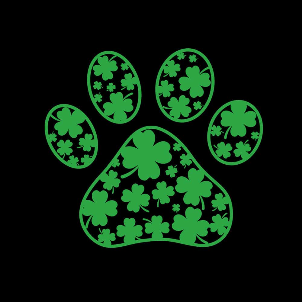 Secondary Product Image