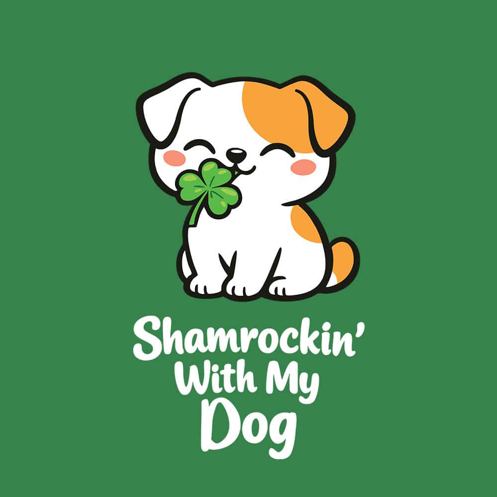 Secondary Product Image