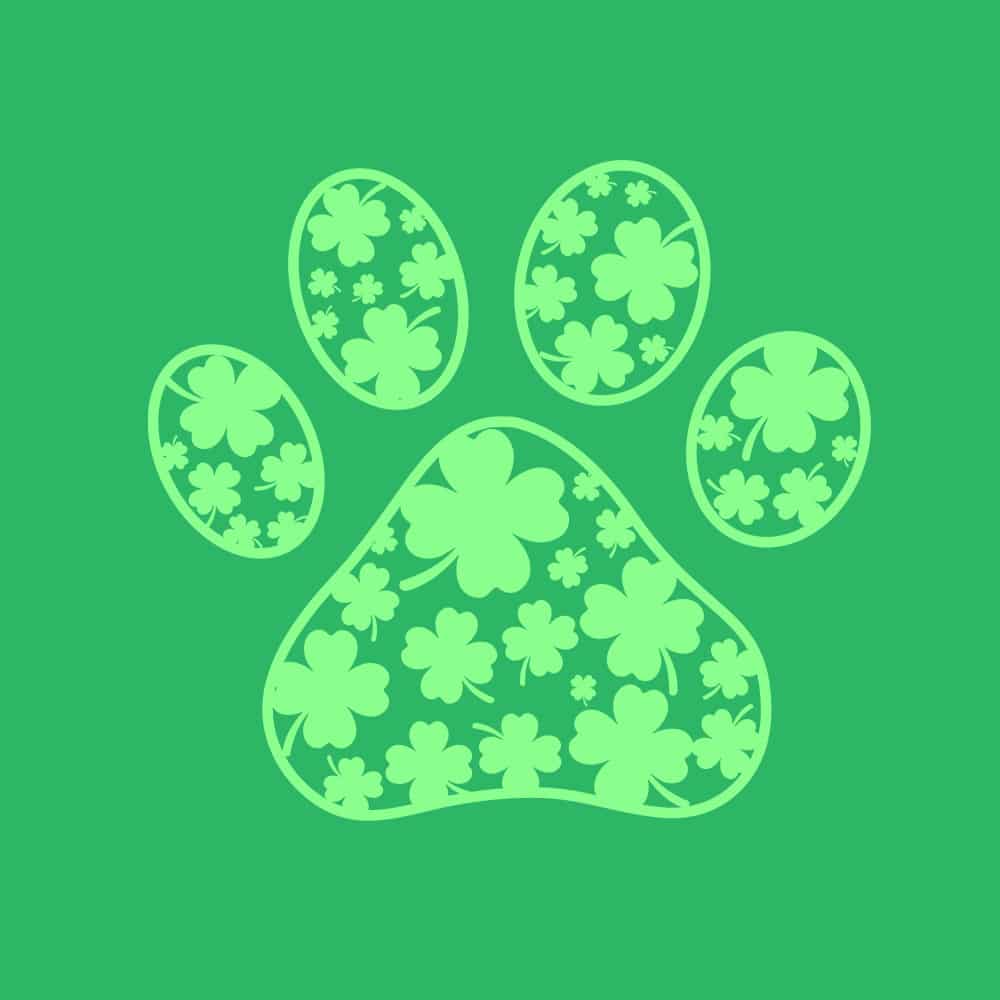 Secondary Product Image