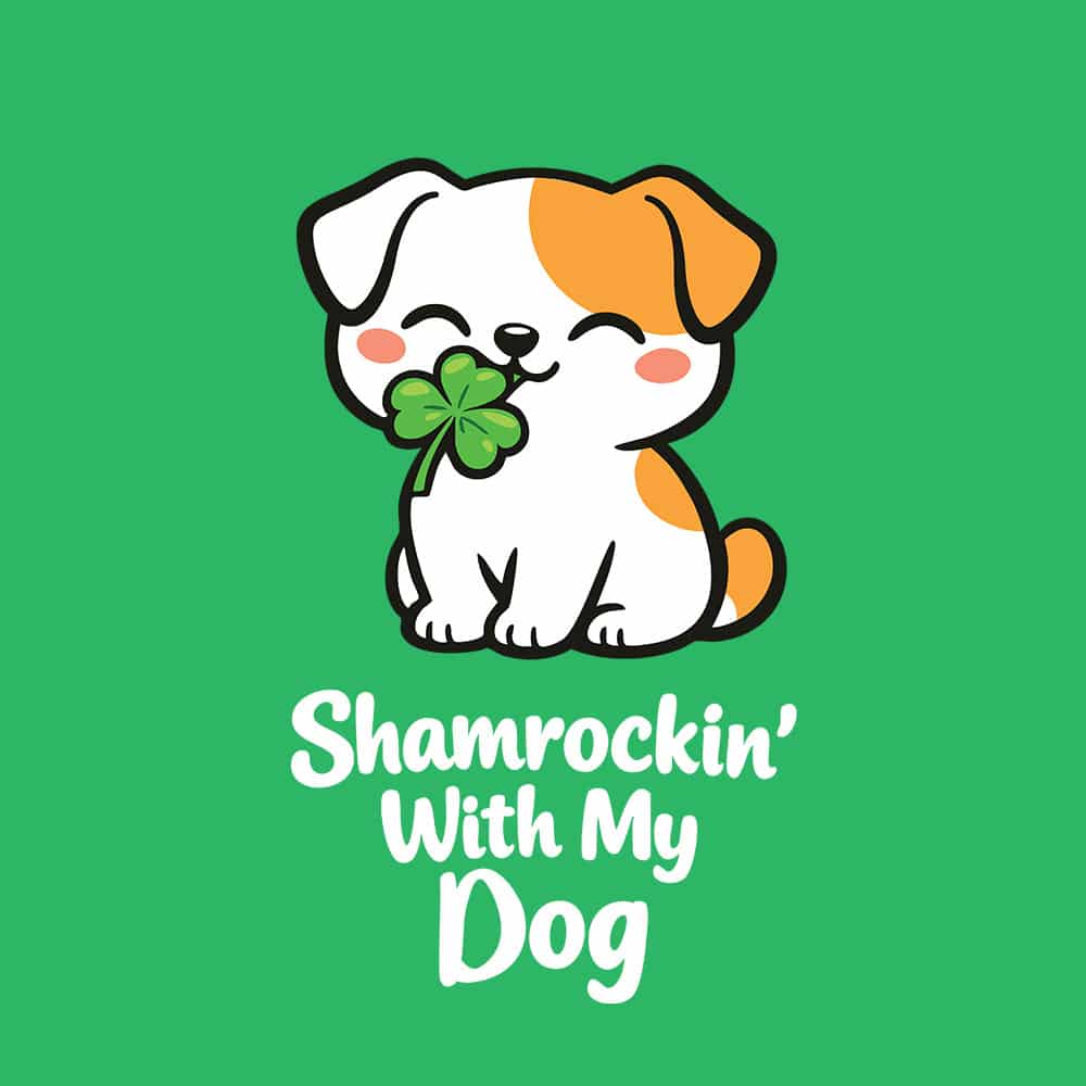 Secondary Product Image