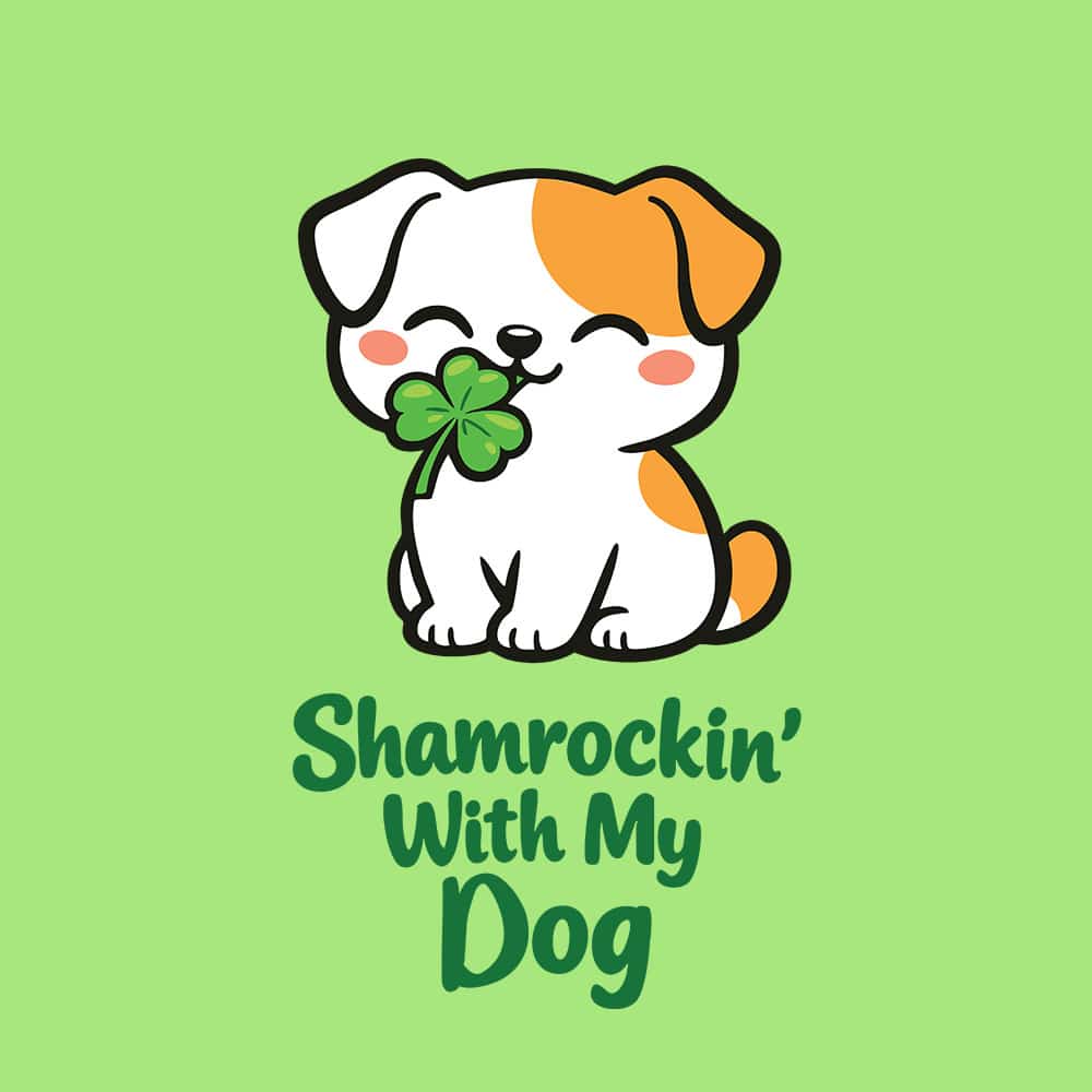 Secondary Product Image