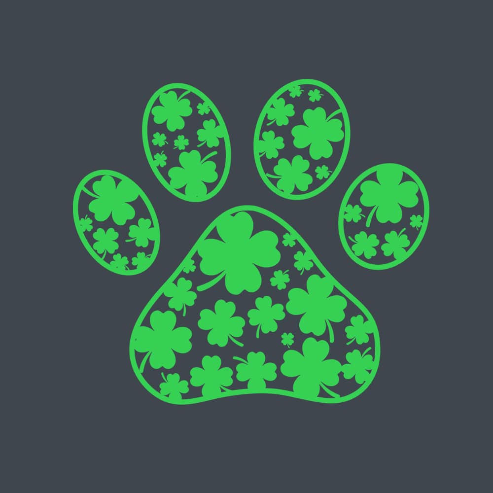 Secondary Product Image